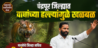 चंद्रपूर जिल्ह्यात वाघांच्या हल्ल्यांमुळे खळबळ; मनसेचे जिल्हा सचिव किशोर मडगुलवार यांचे जिल्हाधिकाऱ्यांना निवेदन, आंदोलनाचा इशारा