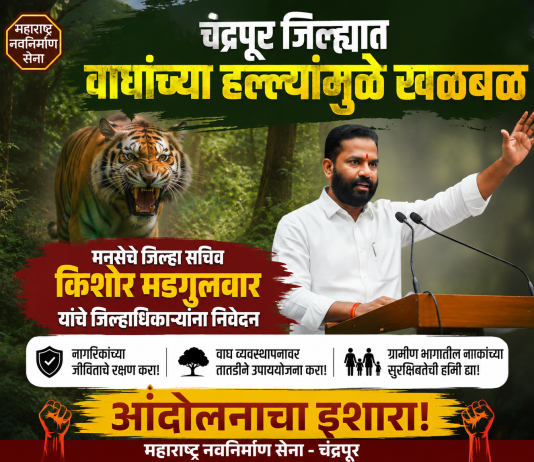 चंद्रपूर जिल्ह्यात वाघांच्या हल्ल्यांमुळे खळबळ; मनसेचे जिल्हा सचिव किशोर मडगुलवार यांचे जिल्हाधिकाऱ्यांना निवेदन, आंदोलनाचा इशारा