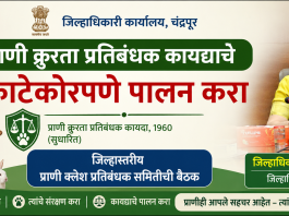 प्राणी क्रुरता प्रतिबंधक कायद्याचे काटेकोरपणे पालन करा – जिल्हाधिकारी वसुमना पंत