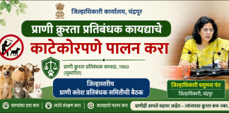प्राणी क्रुरता प्रतिबंधक कायद्याचे काटेकोरपणे पालन करा – जिल्हाधिकारी वसुमना पंत