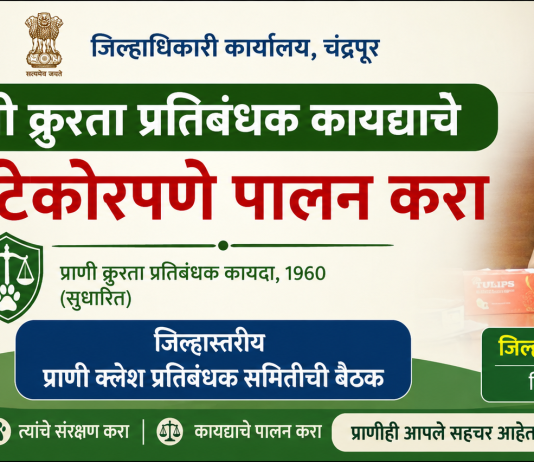 प्राणी क्रुरता प्रतिबंधक कायद्याचे काटेकोरपणे पालन करा – जिल्हाधिकारी वसुमना पंत