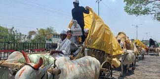 जमीन अधिग्रहनाविरोधात हजारो शेतकऱ्यांचा बैल-बंडी घेऊन जिल्हाधिकारी कार्याल्यासमोर ठिय्या आंदोलन